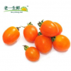 【老一生鲜】黄小蕃茄 黄圣女果 樱桃番茄 小西红柿 500g
