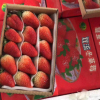新鲜草莓水果批发 水果零食礼盒装草莓