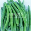 厂家供应产地直销冷冻蔬菜青刀豆批发供应蔬菜