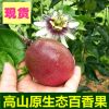 广西百香果西番莲紫香1号高山原生态果园一件代发大量批发