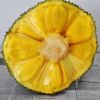 海南三亚菠萝蜜13-30斤 新鲜应季水果现摘现发非榴莲蜜
