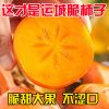 【顺丰果园直发】甜脆柿子现摘新鲜柿子当季水果硬柿子甜柿子