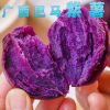 广西巴马紫薯新鲜新挖粉糯甜香无任何添加紫罗兰紫薯新鲜蔬菜