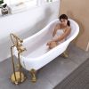 古典贵妃浴盆亚克力欧式美容院北美网红小户型家用成人独立式浴缸