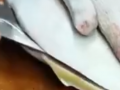 在海鲜市场吃鱼，就选这条老鼠鲷，直接做刺身，鲜！ (198播放)