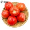 5斤顺丰 云南西红柿沙瓤番茄自然熟新鲜水果蔬菜现摘现发